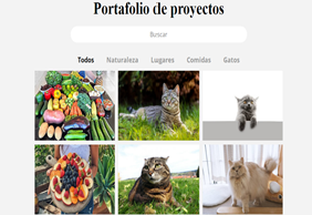 portafolio fotografico